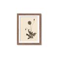 Picture of Vintage Botanical II  _GroupedProduct_Rectangle_Portrait_Framed_Matted_