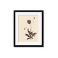 Picture of Vintage Botanical II  _GroupedProduct_Rectangle_Portrait_Framed_Matted_