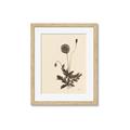 Picture of Vintage Botanical II  _GroupedProduct_Rectangle_Portrait_Framed_Matted_