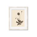 Picture of Vintage Botanical II  _GroupedProduct_Rectangle_Portrait_Framed_Matted_