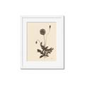Picture of Vintage Botanical II  _GroupedProduct_Rectangle_Portrait_Framed_Matted_