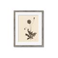 Picture of Vintage Botanical II  _GroupedProduct_Rectangle_Portrait_Framed_Matted_