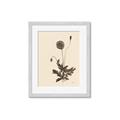 Picture of Vintage Botanical II  _GroupedProduct_Rectangle_Portrait_Framed_Matted_