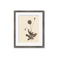 Picture of Vintage Botanical II  _GroupedProduct_Rectangle_Portrait_Framed_Matted_