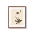 Picture of Vintage Botanical II  _GroupedProduct_Rectangle_Portrait_Framed_Matted_