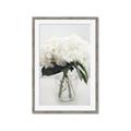 Picture of Hydrangea Bouquet _GroupedProduct_Rectangle_Portrait_Photography _GroupedProduct_Rectangle_Portrait_Framed_Matted_