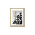 Picture of Farmhouse Arrangement I  _GroupedProduct_Rectangle_Portrait_Photography _GroupedProduct_Rectangle_Portrait_Framed_Matted_