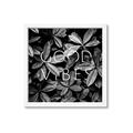 Picture of Good Vibes VII _GroupedProduct_Square_Photography _GroupedProduct_Square_Framed_Matted_