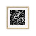Picture of Good Vibes VII _GroupedProduct_Square_Photography _GroupedProduct_Square_Framed_Matted_