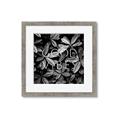 Picture of Good Vibes VII _GroupedProduct_Square_Photography _GroupedProduct_Square_Framed_Matted_