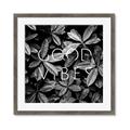 Picture of Good Vibes VII _GroupedProduct_Square_Photography _GroupedProduct_Square_Framed_Matted_