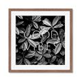 Picture of Good Vibes VII _GroupedProduct_Square_Photography _GroupedProduct_Square_Framed_Matted_