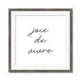 Picture of Joie De Vivre I  _GroupedProduct_Square_Framed_Matted_