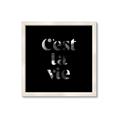 Picture of Cest La Vie IV _GroupedProduct_Square_Framed_Matted_