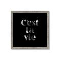 Picture of Cest La Vie IV _GroupedProduct_Square_Framed_Matted_