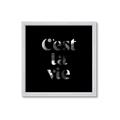 Picture of Cest La Vie IV _GroupedProduct_Square_Framed_Matted_