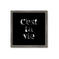 Picture of Cest La Vie IV _GroupedProduct_Square_Framed_Matted_