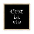 Picture of Cest La Vie IV _GroupedProduct_Square_Framed_Matted_