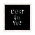 Picture of Cest La Vie IV _GroupedProduct_Square_Framed_Matted_