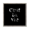 Picture of Cest La Vie IV _GroupedProduct_Square_Framed_Matted_