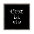 Picture of Cest La Vie IV _GroupedProduct_Square_Framed_Matted_