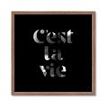 Picture of Cest La Vie IV _GroupedProduct_Square_Framed_Matted_