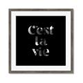 Picture of Cest La Vie IV _GroupedProduct_Square_Framed_Matted_