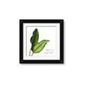 Picture of And So Together II _GroupedProduct_Square_Framed_Matted_