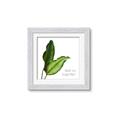 Picture of And So Together II _GroupedProduct_Square_Framed_Matted_