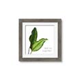 Picture of And So Together II _GroupedProduct_Square_Framed_Matted_