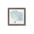 Picture of Teal Coral I  _GroupedProduct_Square_Framed_Matted_