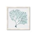 Picture of Teal Coral I  _GroupedProduct_Square_Framed_Matted_