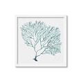 Picture of Teal Coral I  _GroupedProduct_Square_Framed_Matted_