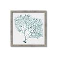 Picture of Teal Coral I  _GroupedProduct_Square_Framed_Matted_