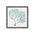 Picture of Teal Coral I  _GroupedProduct_Square_Framed_Matted_