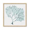 Picture of Teal Coral I  _GroupedProduct_Square_Framed_Matted_
