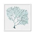 Picture of Teal Coral I  _GroupedProduct_Square_Framed_Matted_