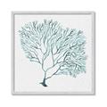 Picture of Teal Coral I  _GroupedProduct_Square_Framed_Matted_