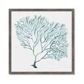 Picture of Teal Coral I  _GroupedProduct_Square_Framed_Matted_