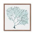 Picture of Teal Coral I  _GroupedProduct_Square_Framed_Matted_