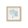 Picture of Teal Coral I  _GroupedProduct_Square_Framed_Matted_