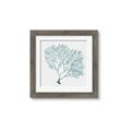 Picture of Teal Coral I  _GroupedProduct_Square_Framed_Matted_