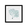 Picture of Teal Coral I  _GroupedProduct_Square_Framed_Matted_