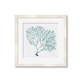 Picture of Teal Coral I  _GroupedProduct_Square_Framed_Matted_