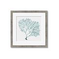 Picture of Teal Coral I  _GroupedProduct_Square_Framed_Matted_
