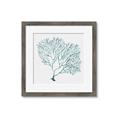 Picture of Teal Coral I  _GroupedProduct_Square_Framed_Matted_