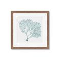 Picture of Teal Coral I  _GroupedProduct_Square_Framed_Matted_