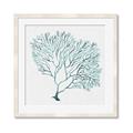 Picture of Teal Coral I  _GroupedProduct_Square_Framed_Matted_