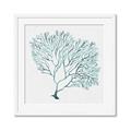 Picture of Teal Coral I  _GroupedProduct_Square_Framed_Matted_