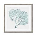 Picture of Teal Coral I  _GroupedProduct_Square_Framed_Matted_